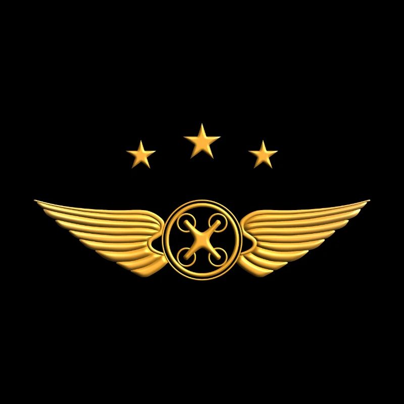 Drone Pilot Drone Fly Drone Pilot