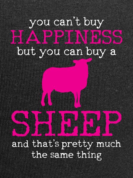 sheep