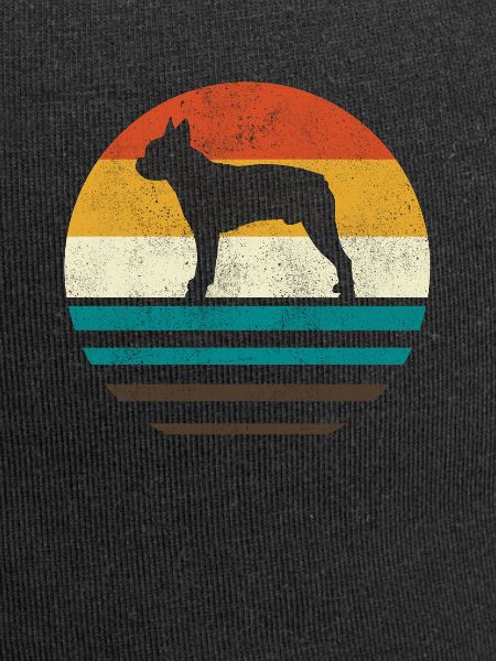 Boston Terrier