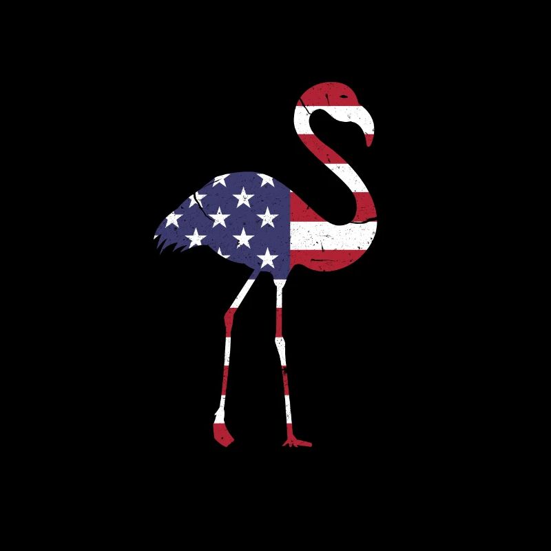 Flamingo Amerika