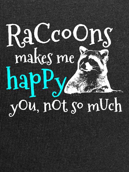 raton laveur