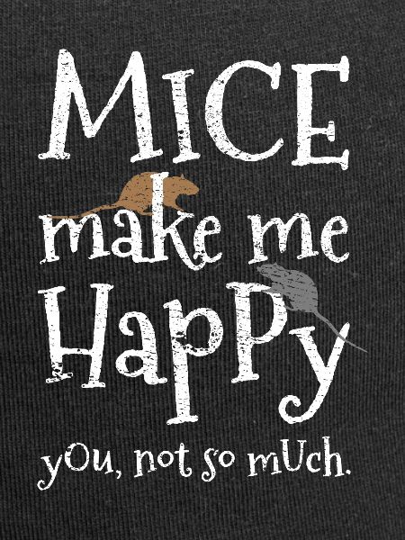 mouse mice