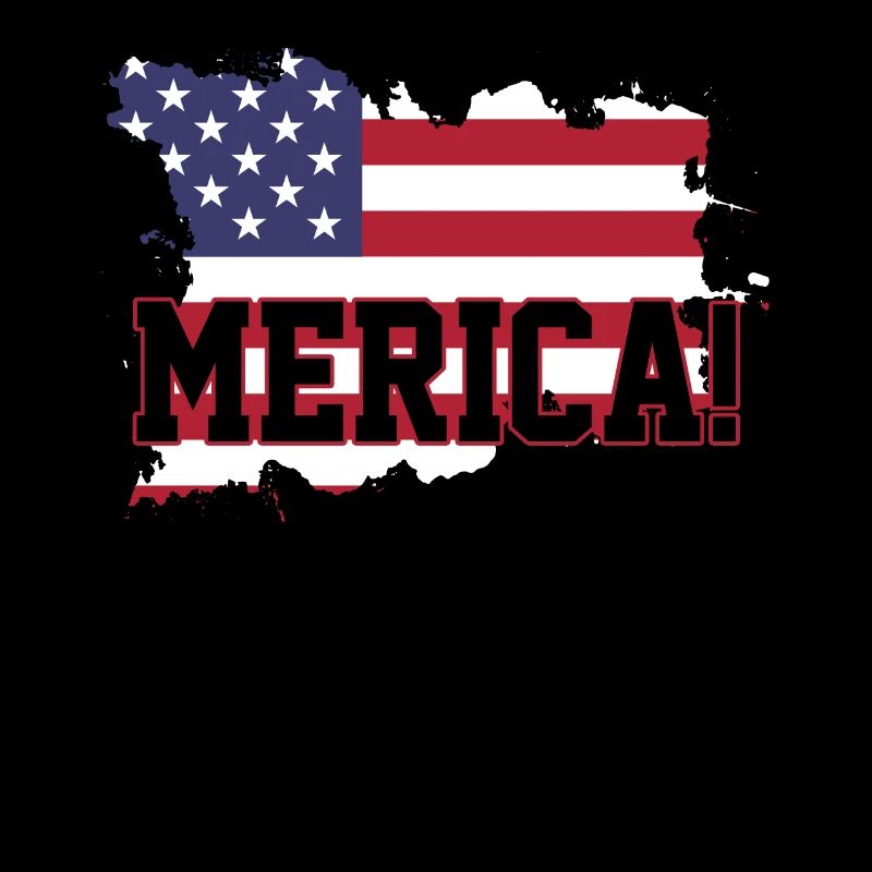 Drapeau USA USA
