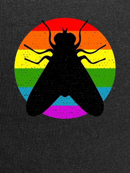 Rainbow fly