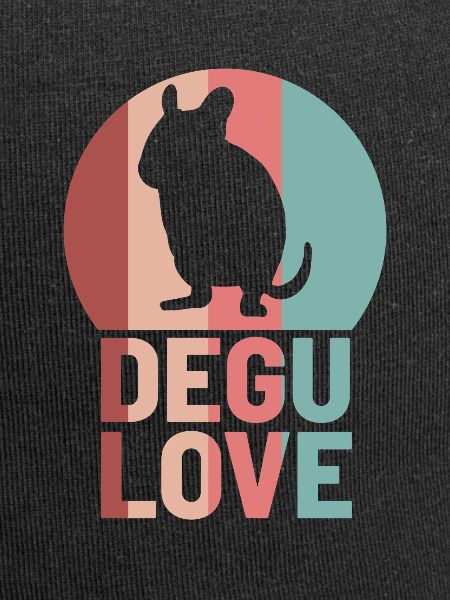 Degu