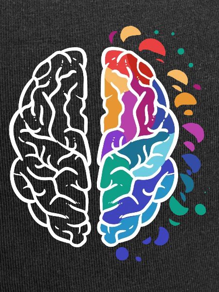 brain