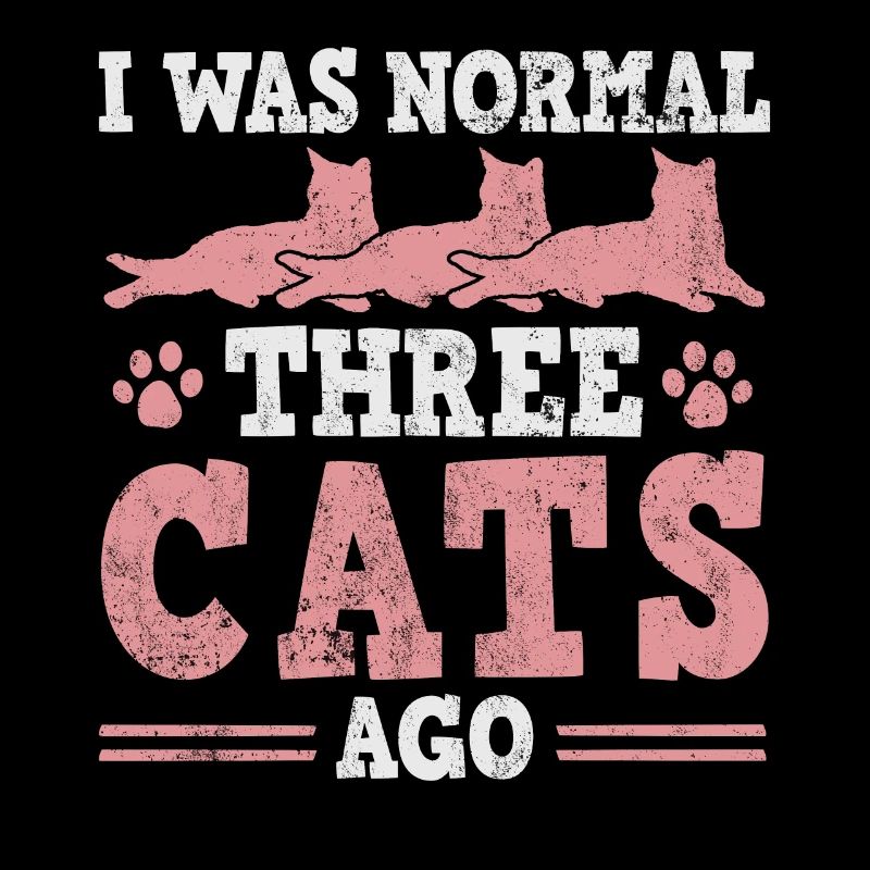 Propriétaire de chat cats cat three 3