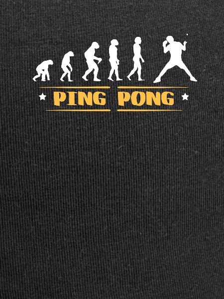 EVOLUTION PING PONG