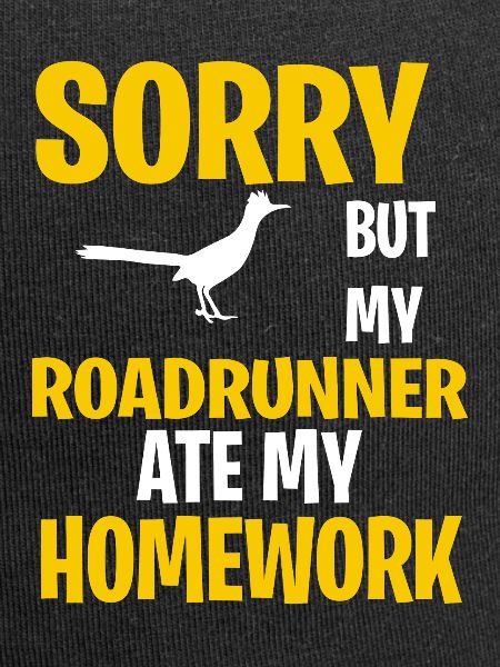 Funny Roadrunner Present Idea