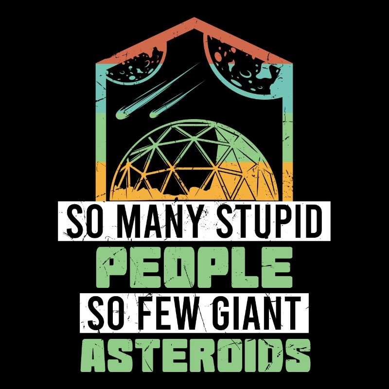 So Many Stupid People So Few Asteroids