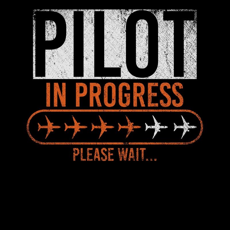 Pilot In Progress Please Wait Loading Plane