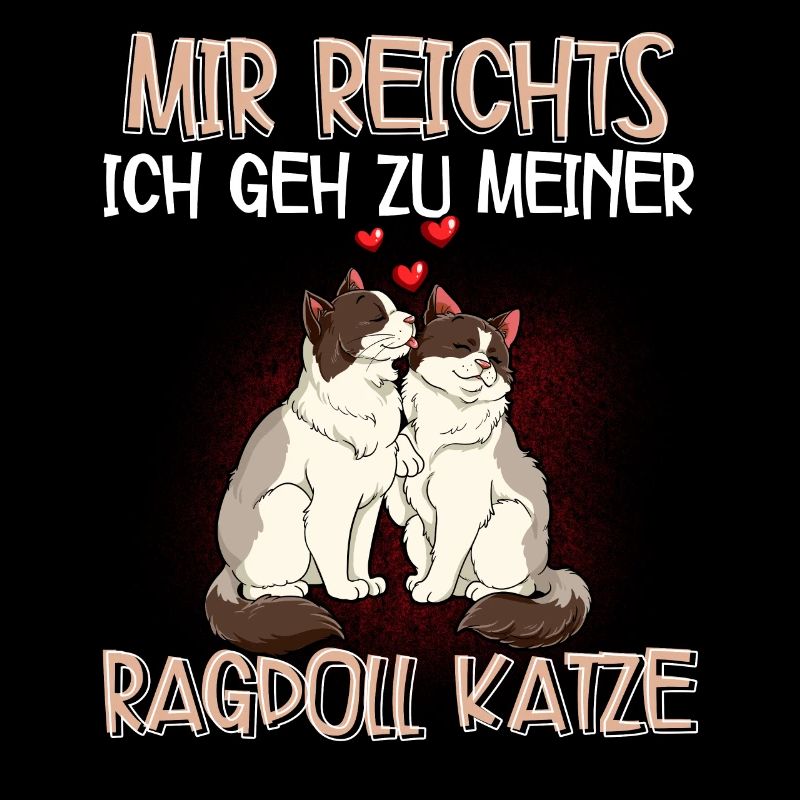 Ragdoll Katze