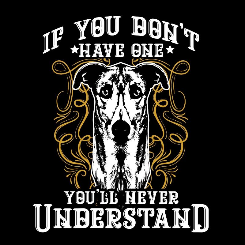 greyhound
