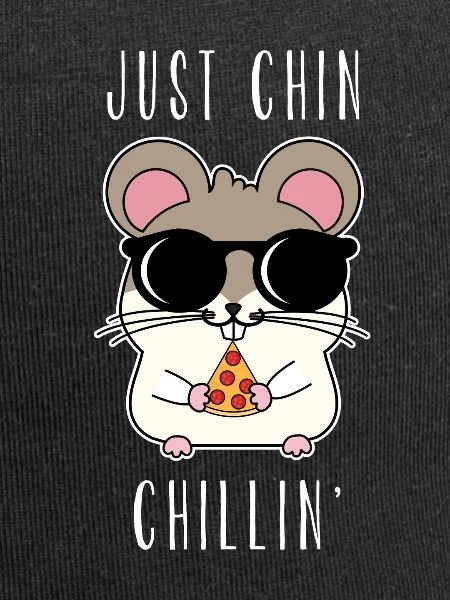 chinchilla