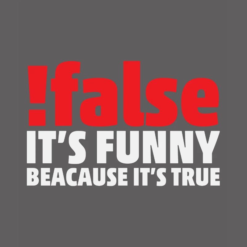 False it's funny because it's true Programmer