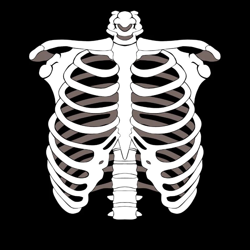Skeleton skeleton Halloween bone skeleton skeleton