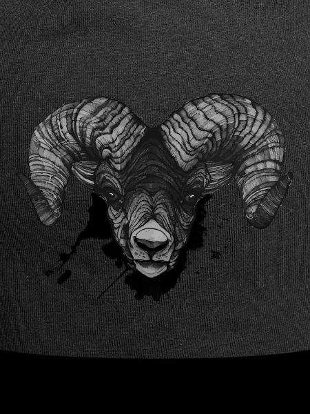 Widder Steinbock Kopf Art Dickkopf