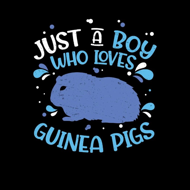 Just A Boy Who Loves Cochons d'Inde Funny