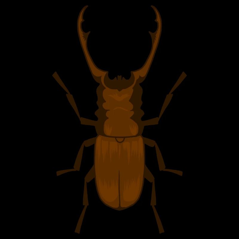 Hirschkäfer Lucanus cervus Schröter Insekt