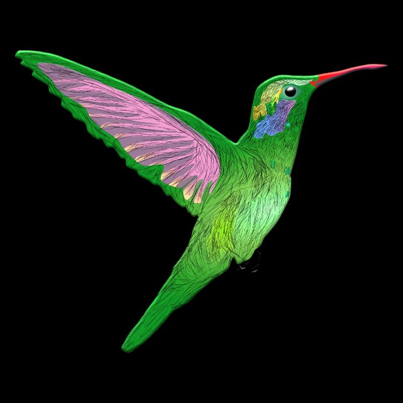 Kolibri