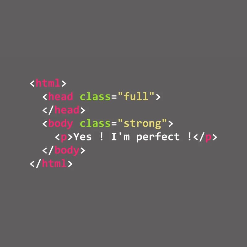 HTML perfekt