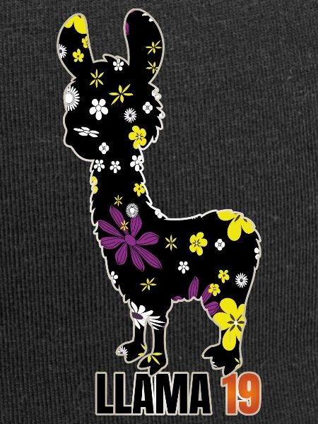 Llama