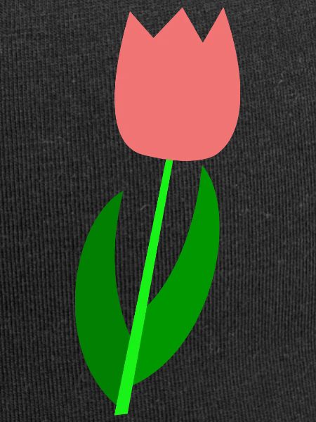 Tulip Netherlands