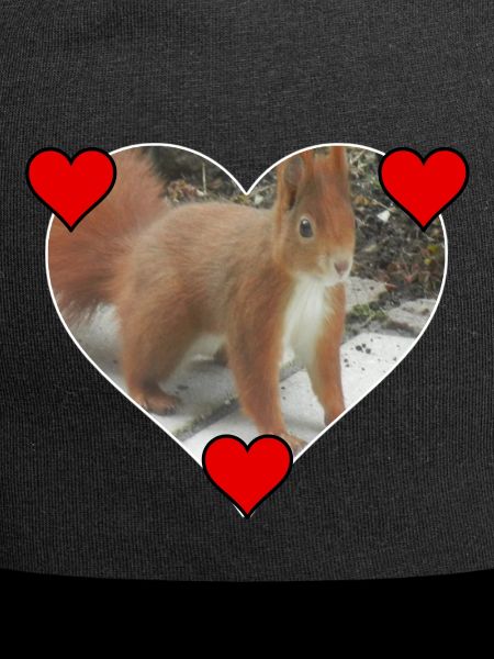 Eichhörnchen Squirrel Liebe Love Herz