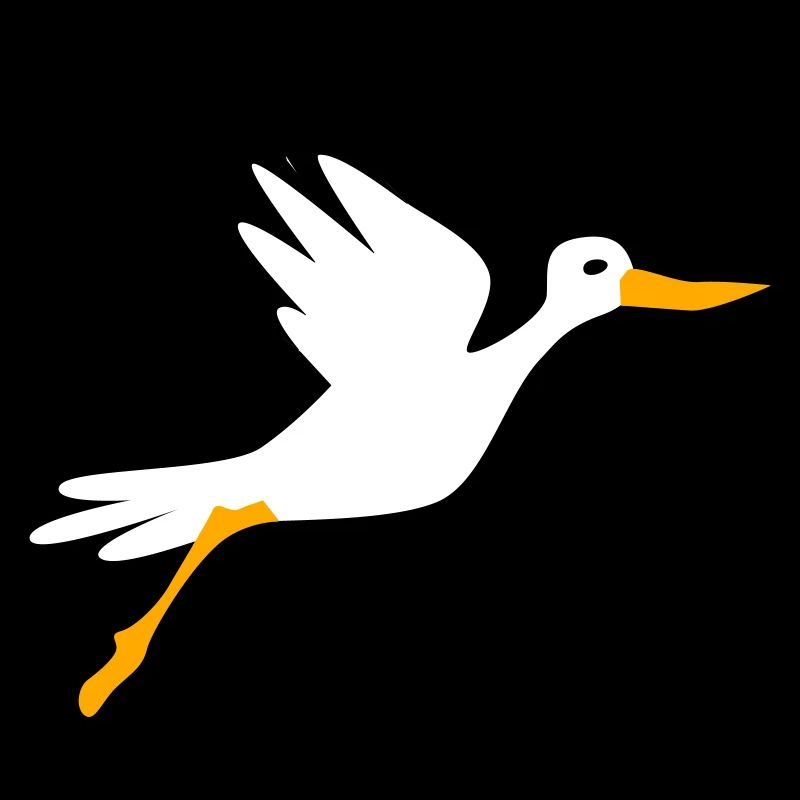 Storch