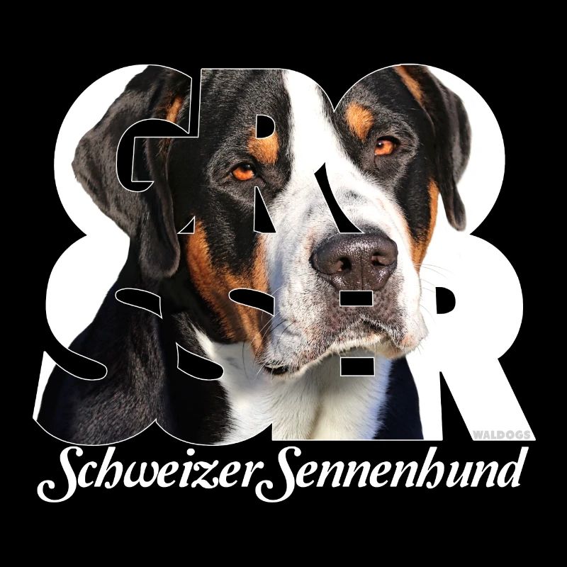 Grosser Schweizer Sennenhund