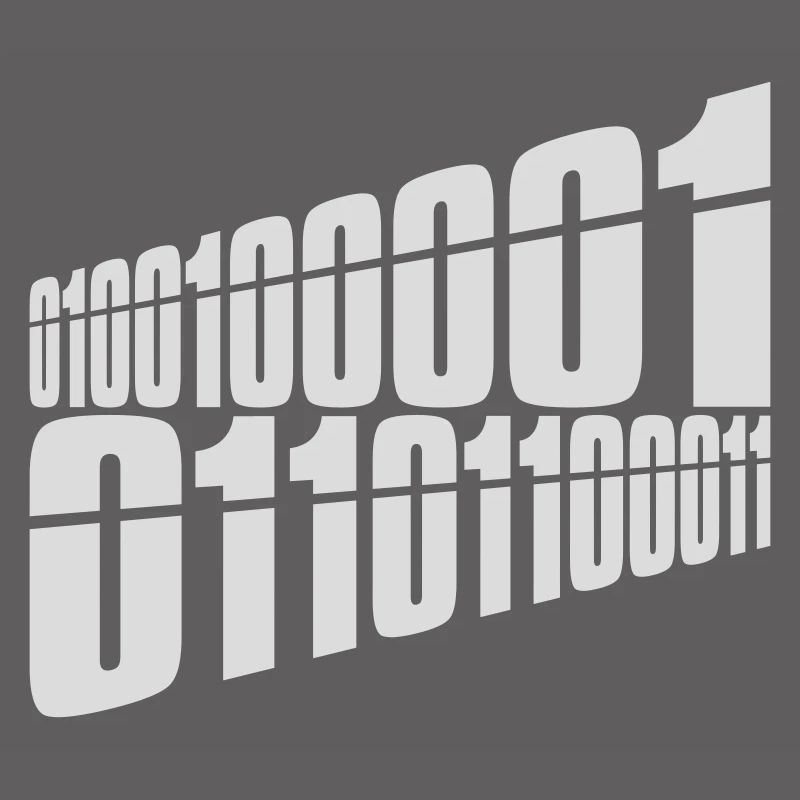 Binary Code Program Language