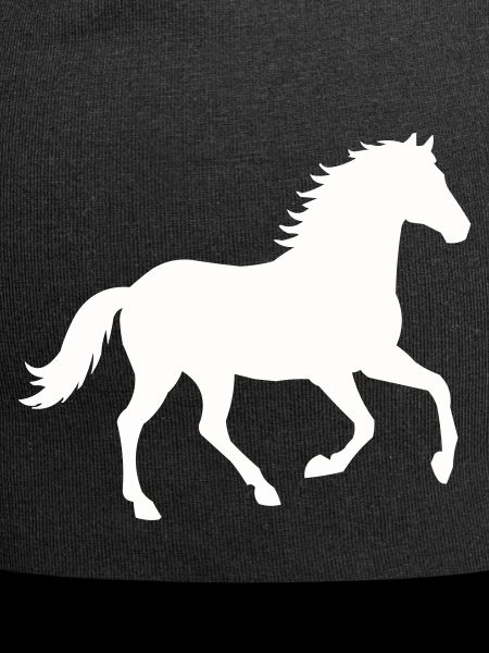 Silhouette d’un cheval sauvage