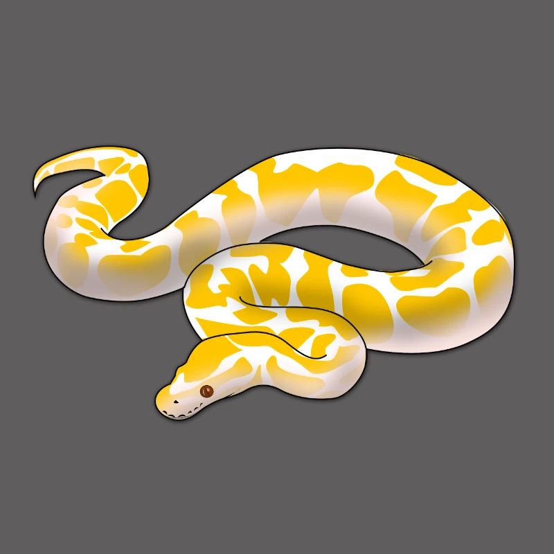 Albino ball python Python regius ballpython motif