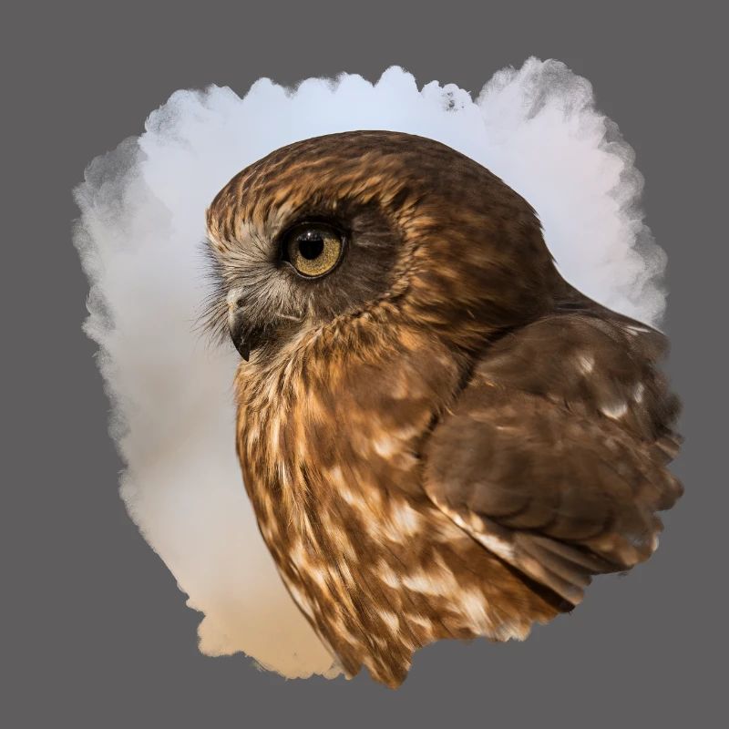 Owl design
