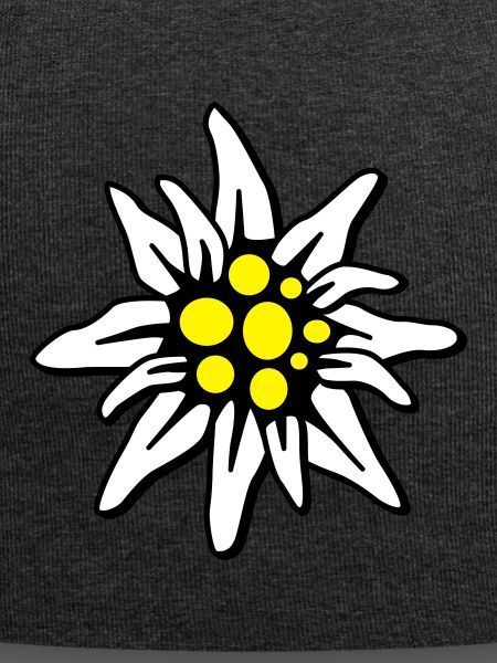 Edelweiss