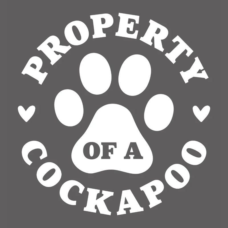 Eigentum eines Cockapoo