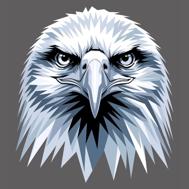 Eagle Bald Eagle Golden Eagle White-tailed Eagle