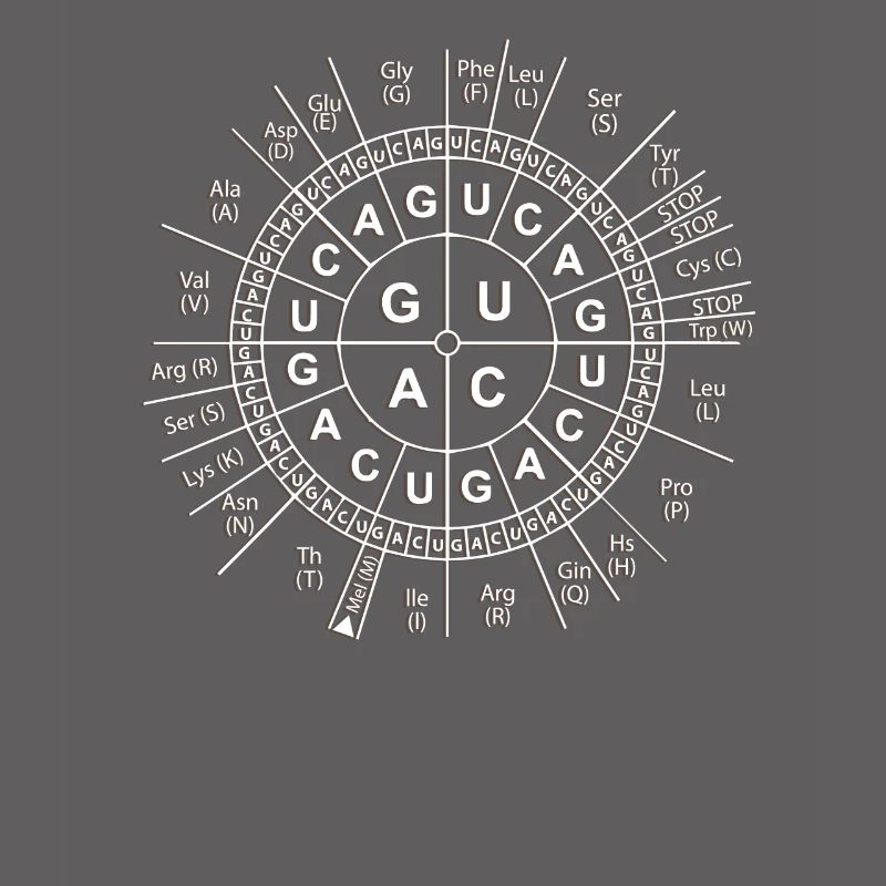 Chemistry Elements Science Code Sun Gift