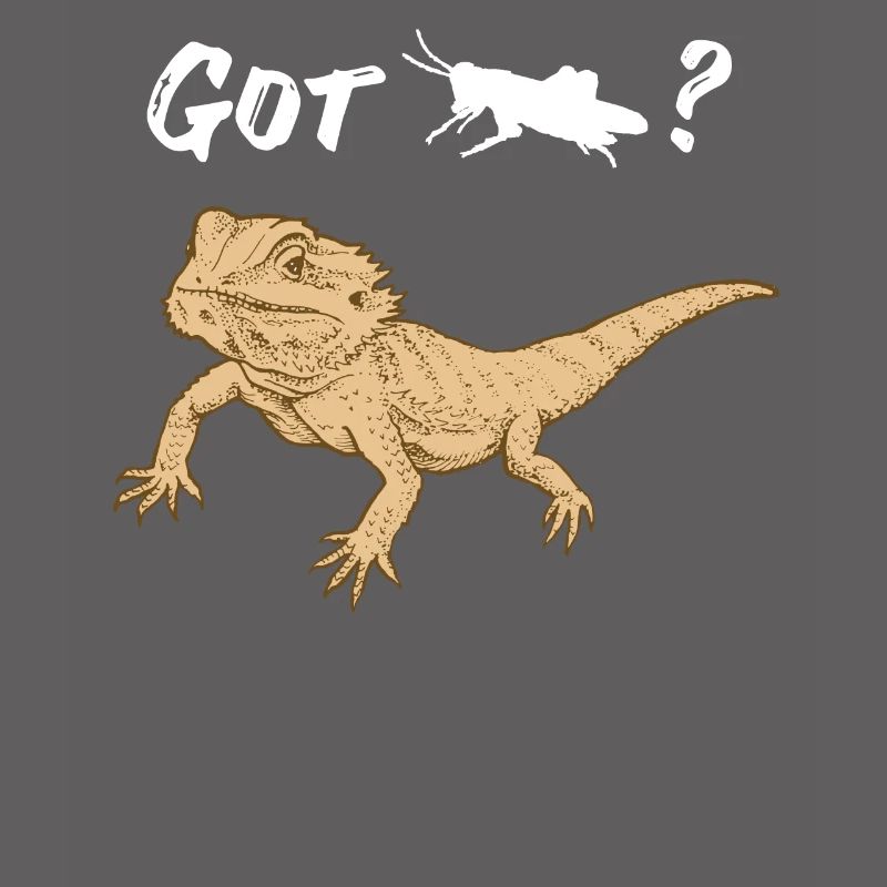 Bearded dragon asks for Locust Reptile Lizard