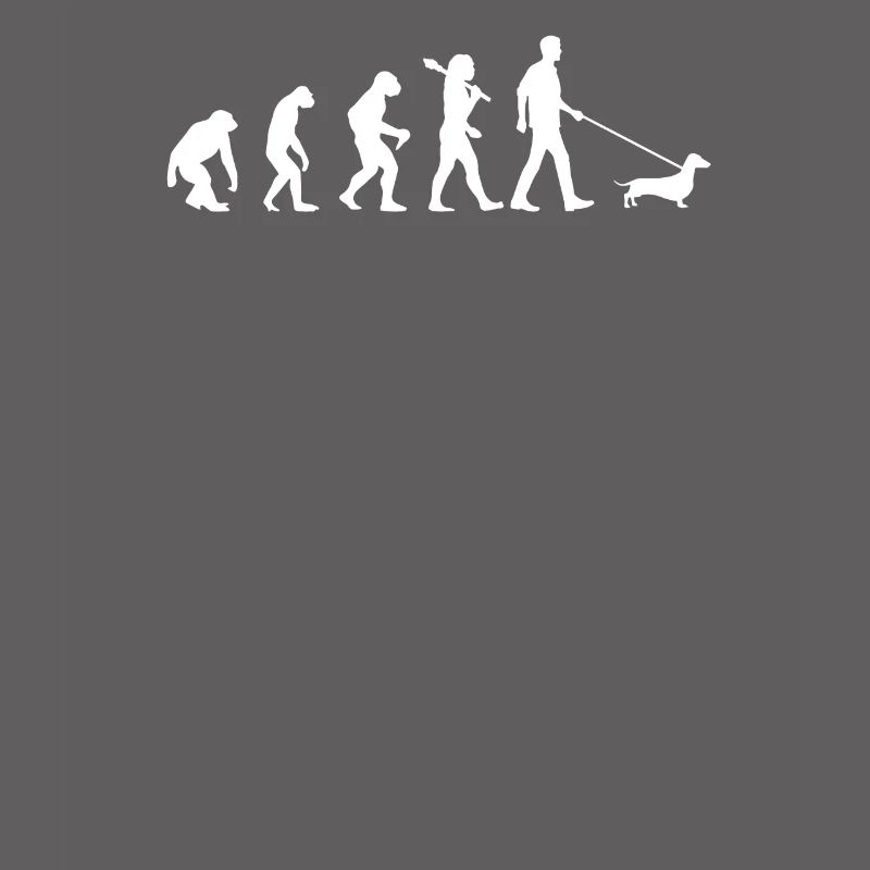 Evolution du teckel