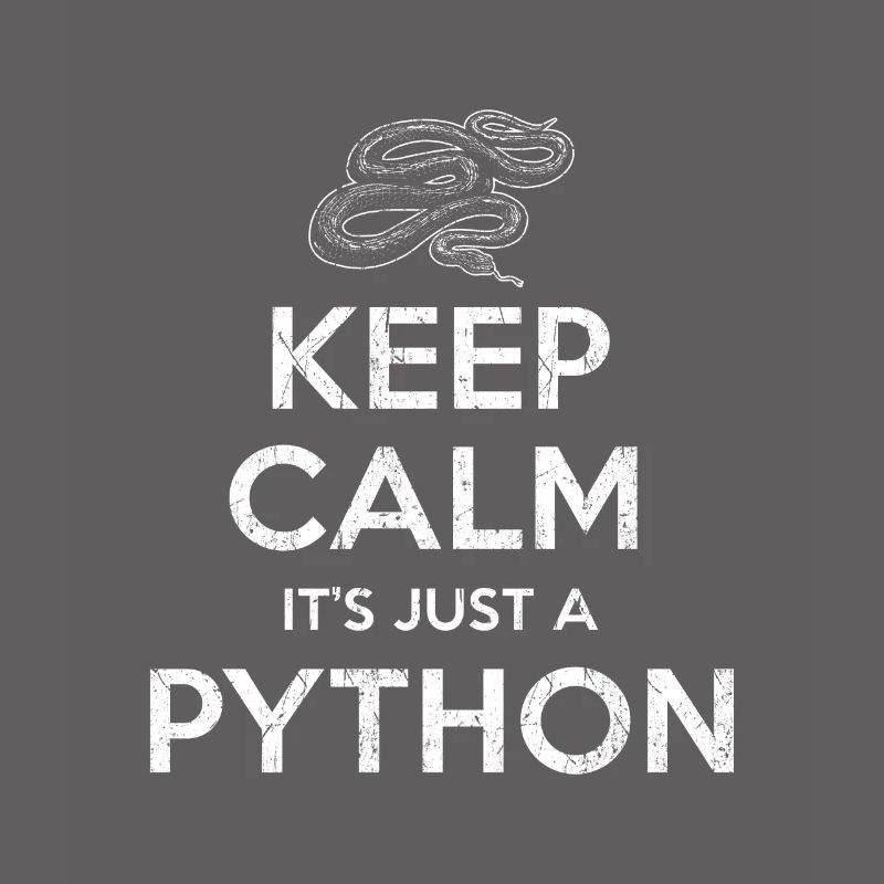 Python Schlange