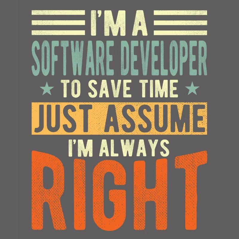Software developer