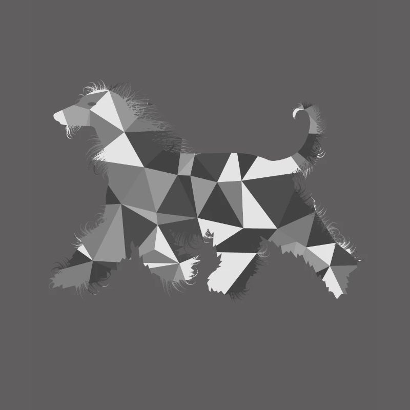 Polygon Afghan Greyhound