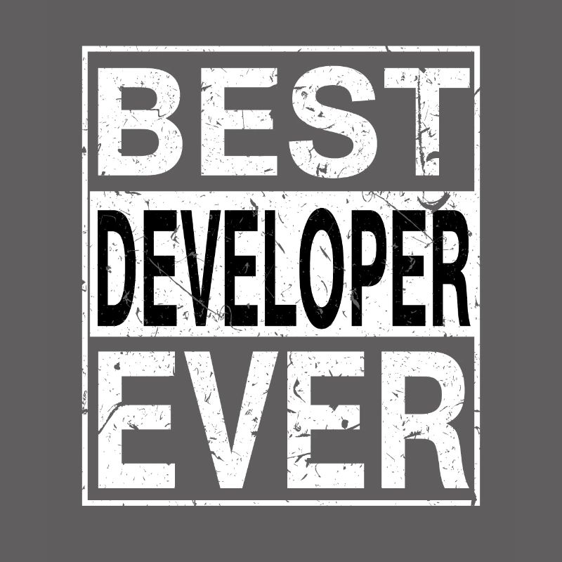 Best Developer Ever Developer Gift