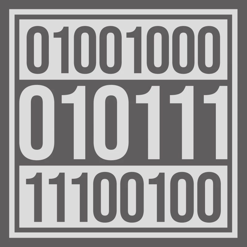 Binary Code Program Language