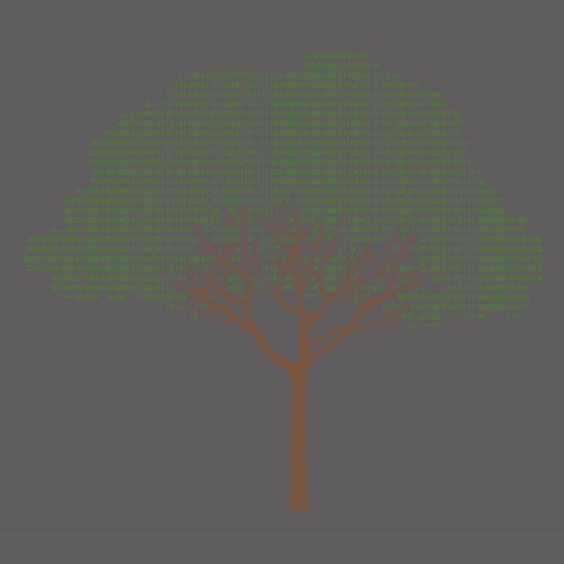 Binary Tree Admin Hacker Coder Programmierer