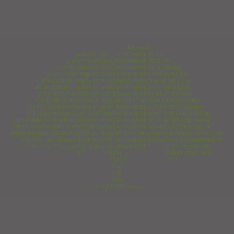 Binary Tree Admin Hacker Coder Programmierer