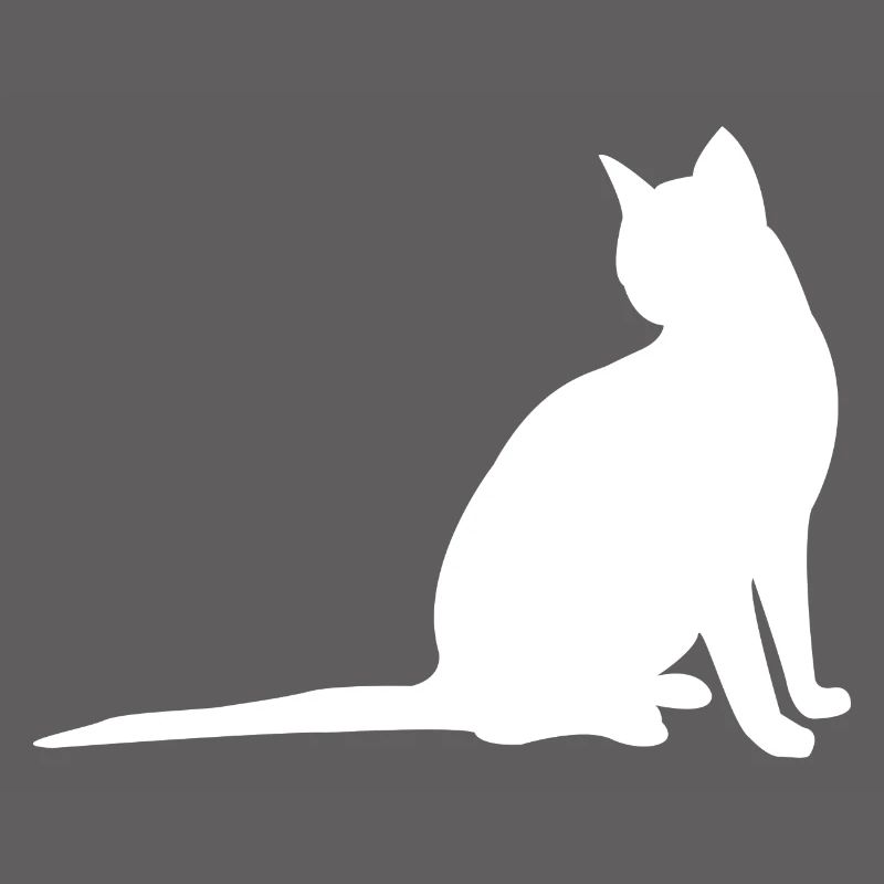 Katze