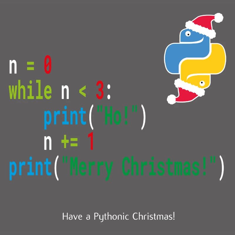 Ho! Ho! Ho! - Merry Christmas -Python Geek Design