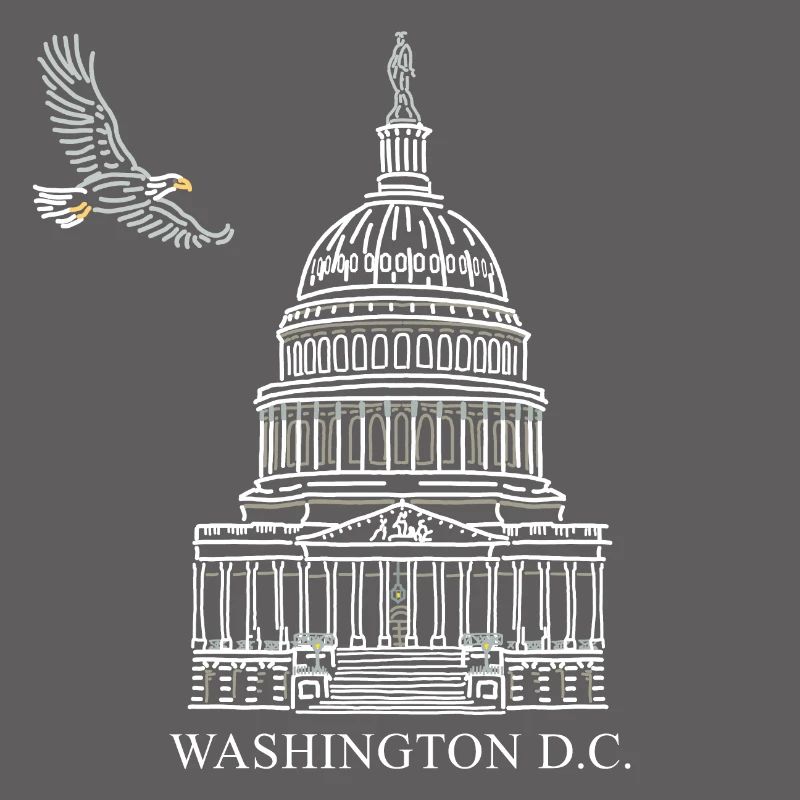 Washington D.C., Capitol Structure, Bald Eagle